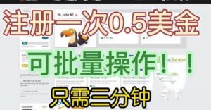 国外项目注册一次0.5美金,只需三分钟无脑操作,可批量同时放大操作,小白工作室福利【揭秘】-则成副业项目资源站