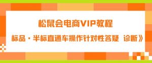 松鼠会电商VIP教程:松鼠《付费推广标品·半标直通车操作针对性答疑&诊断》-则成副业项目资源站