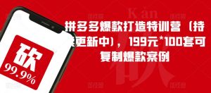 拼多多爆款打造特训营(持续更新中),199元*100套可复制爆款案例-则成副业项目资源站