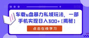 车载u盘暴力私域玩法,一部手机实现日入300+【揭秘】-则成副业项目资源站