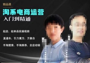 2023手淘搜索实操课+体系化课程,起店起单品实操视频课程-则成副业项目资源站