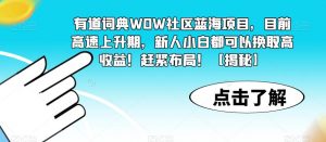 有道词典WOW社区蓝海项目，目前高速上升期，新人小白都可以换取高收益！赶紧布局！【揭秘】-则成副业项目资源站