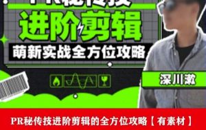 PR进阶剪辑培训班,让你快速成为剪辑大师12节视频课程+素材!-则成副业项目资源站