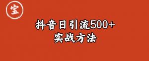 宝哥抖音直播引流私域的6个方法，日引流500+-则成副业项目资源站