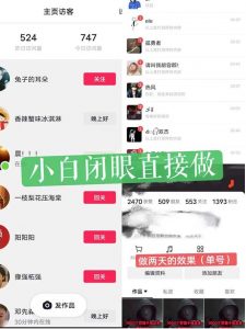 一天做完别一辈子的视频制作最近很火的《1000个野路子信息差》100%过原创【揭秘】-则成副业项目资源站