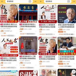 拆解小红书宝宝起名虚拟副业项目,一条龙实操玩法分享给你(教程+软件)-则成副业项目资源站