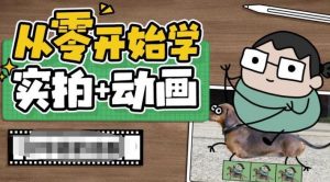 从零开始学实拍加动画,实拍加动画创意教程-则成副业项目资源站