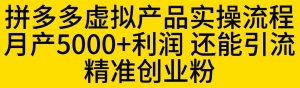 拼多多虚拟产品实操流程,月产5000+利润,还能引流精准创业粉【揭秘】-则成副业项目资源站