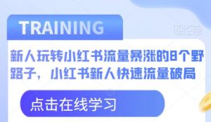 新人玩转小红书流量暴涨的8个野路子，小红书新人快速流量破局-则成副业项目资源站