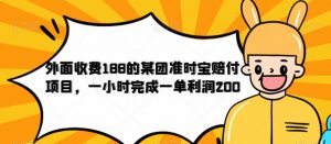 外面收费188的美团准时宝赔付项目,一小时完成一单利润200【仅揭秘】-则成副业项目资源站