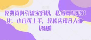 免费资料引流宝妈粉，私域高利润转化，小白可上手，轻松实现日入600+【揭秘】-则成副业项目资源站