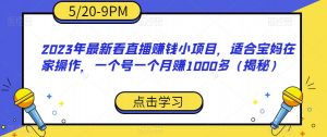 2023年最新看直播赚钱小项目，适合宝妈在家操作，一个号一个月赚1000多（揭秘）-则成副业项目资源站