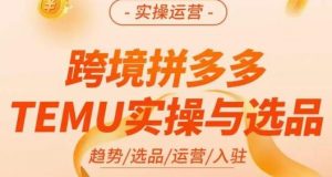 伍跃·跨境拼多多TEMU实操与选品,趋势/选品/运营/入住(27节完整)-则成副业项目资源站