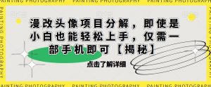 漫改头像项目分解，即使是小白也能轻松上手，仅需一部手机即可【揭秘】-则成副业项目资源站
