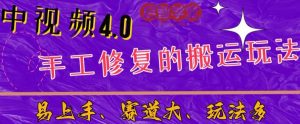 中视频4.0赛道:新手福音,一小时制作,三天过计划,7天看效果【揭秘】-则成副业项目资源站