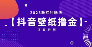 抖音壁纸小程序创作者撸金项目，2023新红利玩法【项目拆解】-则成副业项目资源站