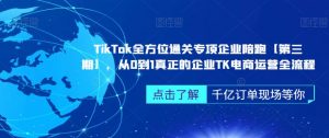TikTok全方位通关专项企业陪跑【第三期】,从0到1真正的企业TK电商运营全流程-则成副业项目资源站