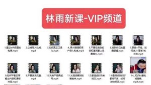 林雨新课VIP频道,玩赚私域/朋友圈/社群-则成副业项目资源站