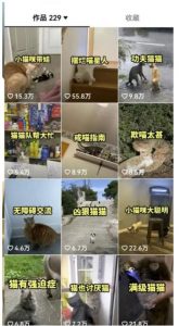 拆解抖音盘点类中视频变现副业项目,视频版一条龙大解析分享给你【视频课程】-则成副业项目资源站