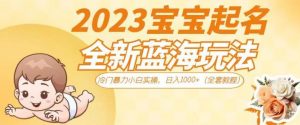 2023宝宝起名全新蓝海玩法,冷门暴力小白实操,日入1000+(全套教程)【揭秘】-则成副业项目资源站