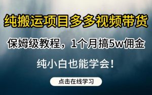 纯搬运项目多多视频带货保姆级教程,1个月搞5w佣金,纯小白也能学会【揭秘】-则成副业项目资源站