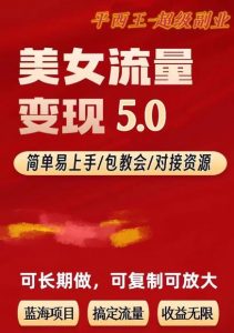 TK美女短视频变现项目无限复制(升级版),全网最高性价比项目【揭秘】-则成副业项目资源站