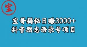 宝哥揭秘日赚3000+抖音励志语录号短视频变现项目-则成副业项目资源站