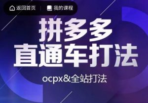互力·拼多多直通车打法，ocpx&全站打法-则成副业项目资源站