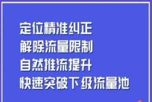 同城账号付费投放运营优化提升,定位精准纠正,解除流量限制,自然推流提升,极速突破下级流量池-则成副业项目资源站