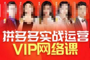 推易拼多多VIP全套直播课程,拼多多店铺实操玩法+实战玩法选款内功+直通车高阶等-则成副业项目资源站