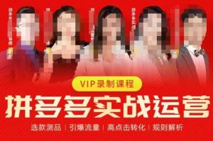 2023推易拼多多实战运营,选款测品、引爆流量、高点击转化、规则解析-则成副业项目资源站