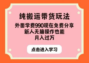 纯搬运带货玩法,外面学费990现在免费分享,新人无脑操作也能月入过万【揭秘】-则成副业项目资源站