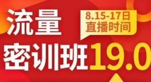 秋秋线上流量密训班19.0,打通流量关卡,线上也能实战流量破局-则成副业项目资源站