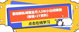 靠短剧私域掘金月入5W小白闭眼做(教程+2T资料)-则成副业项目资源站