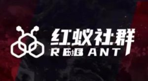 社群运营:红蚁社群【48节落地系统课程+2000人高端社群】-则成副业项目资源站