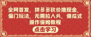 全网首发,拼多多砍价撸现金,偏门玩法,无需拉人头,傻瓜式操作保姆教程【揭秘】-则成副业项目资源站