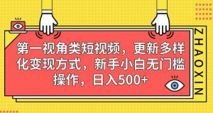 第一视角类短视频，更新多样化变现方式，新手小白无门槛操作，日入500+【揭秘】-则成副业项目资源站