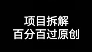 项目拆解赛道百分百过原创【揭秘】-则成副业项目资源站