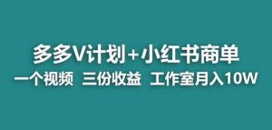 【蓝海项目】多多v计划+小红书商单一个视频三份收益工作室月入10w-则成副业项目资源站
