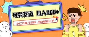 小红书育儿资料,一部手机可操作,多种变现方式,日入500+,私域变现,长期可持续项目【揭秘】-则成副业项目资源站