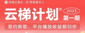 2023年8月份网易云最新独家挂机技术,真正实现挂机月入5000【揭秘】-则成副业项目资源站