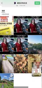 外面收费198的最新视频号连怼技术,条条原创,条条爆单【揭秘】-则成副业项目资源站