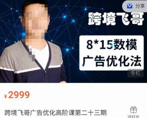 跨境飞哥·广告优化高阶课第二十三期,8*15数模广告优化法,用数据驱动决策-则成副业项目资源站