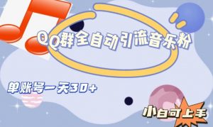 QQ群全自动引流音乐粉，单账号一天轻松引流30+-则成副业项目资源站