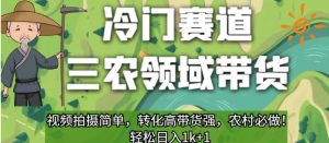 冷门赛道三农领域带货，视频拍摄简单，转化高带货强，农村必做！【揭秘】-则成副业项目资源站
