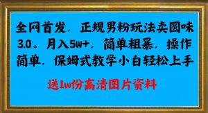 全网首发正规男粉玩法卖圆味3.0，月入5W+，简单粗暴，操作简单，保姆式教学，小白轻松上手-则成副业项目资源站