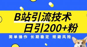 B站引流技术：每天引流200精准粉，简单操作，长期稳定，规避风险-则成副业项目资源站