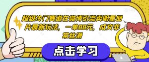 超级冷门赛道在微博引流卖明星图片最新玩法,一单88元,成交非常丝滑【揭秘】-则成副业项目资源站