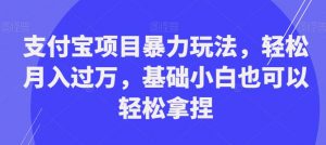 支付宝项目暴力玩法，轻松月入过万，基础小白也可以轻松拿捏【揭秘】-则成副业项目资源站