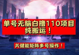 9月全网首发，单号直接白撸110！可多号操作，无脑搬运复制粘贴【揭秘】-则成副业项目资源站